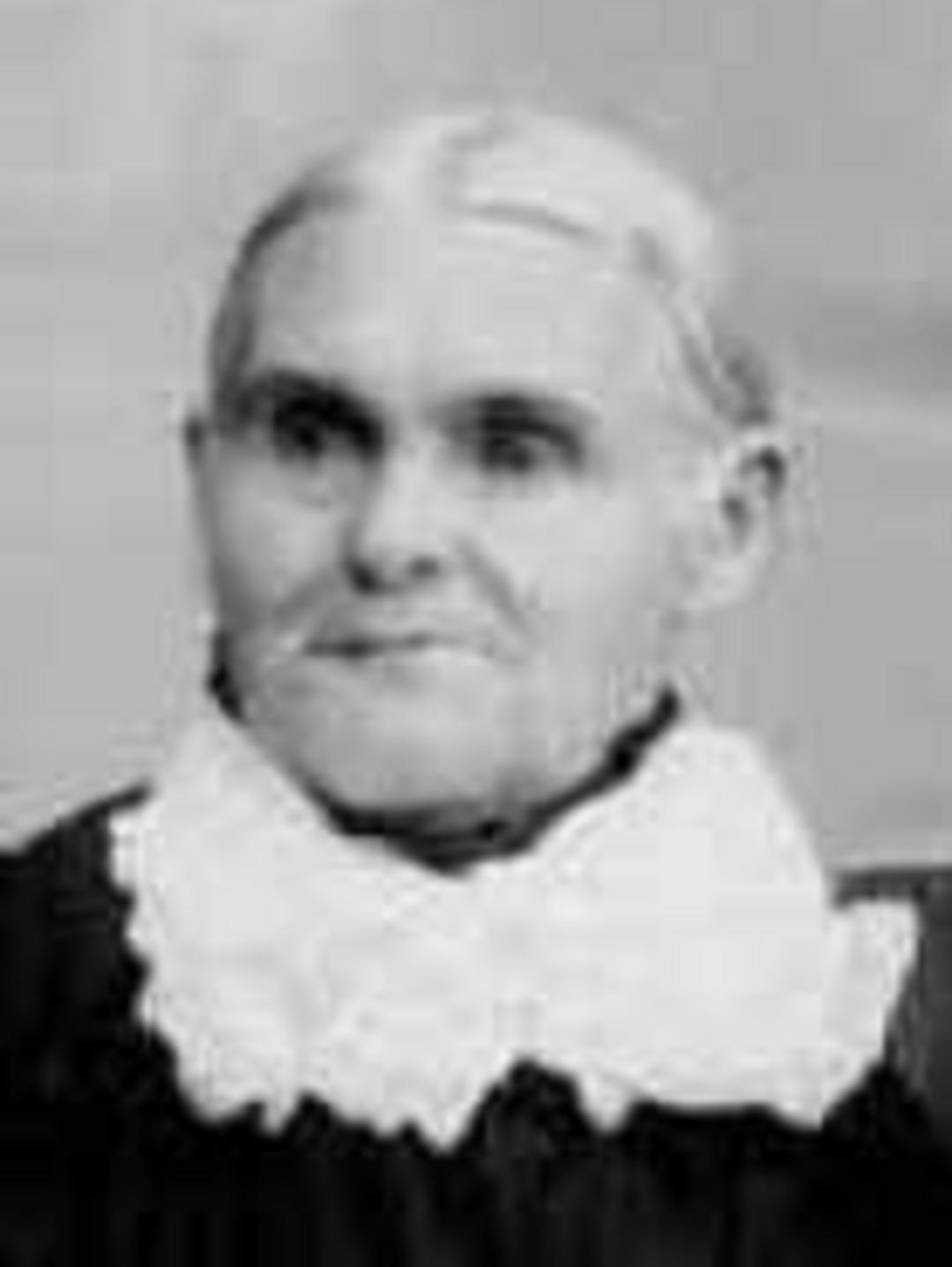 Diantha Hanchett (1830 - 1902) Profile